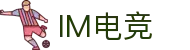 IM(股份有限公司)电竞-电子竞技平台